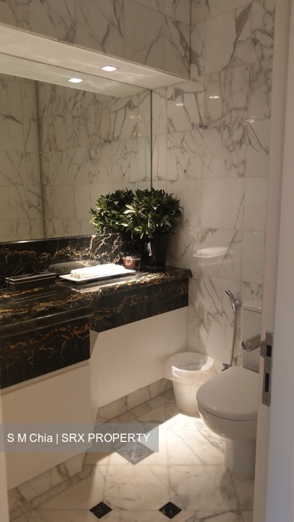 Four Seasons Park (D10), Condominium #180338712